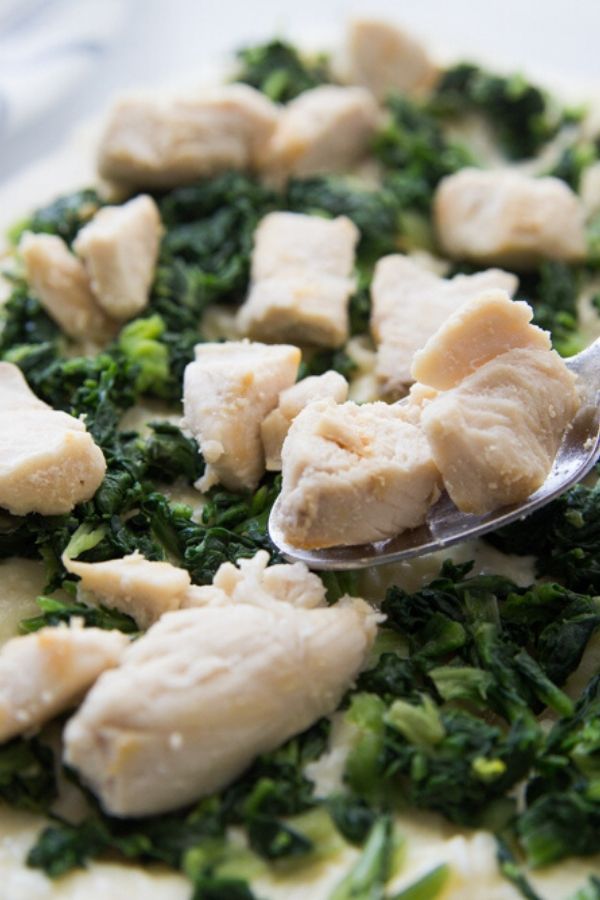 putting chicken on spinach chicken lasagna 