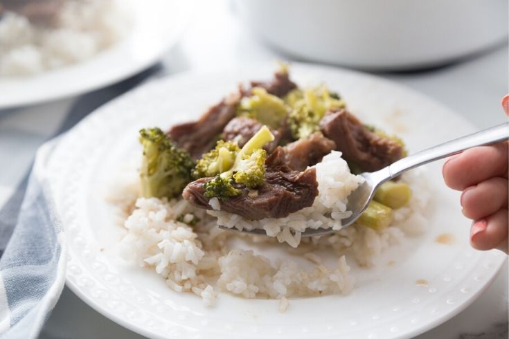 slow cooker beef with rice on a plate and person with a fork picking some up