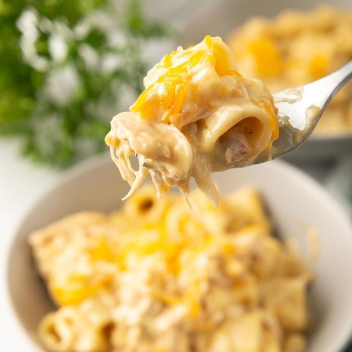 fork with chicken rigatoni on it with bowl underneath