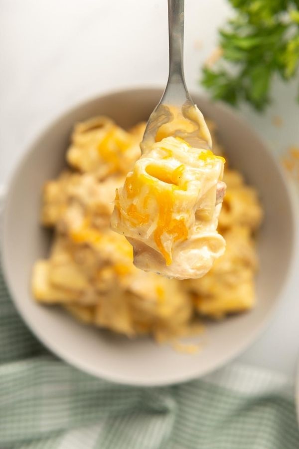 fork of chicken rigatoni