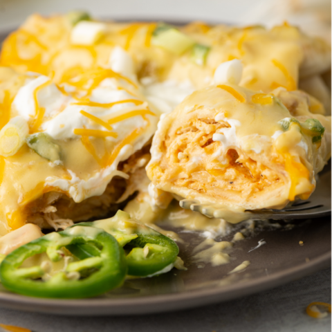 Cream Cheese Chicken Chimichangas