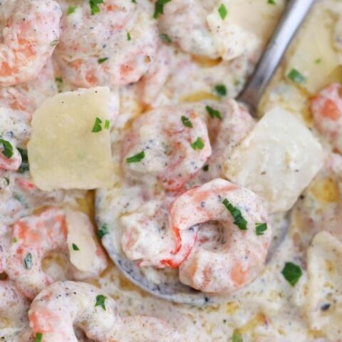 creamy garlic shrimp recipe