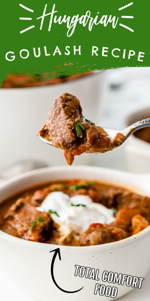 bowl of hungarian goulash 