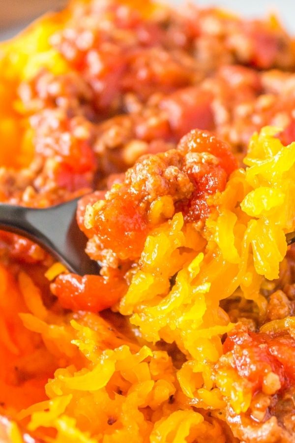 crockpot pasta sauce with spahetti sqush