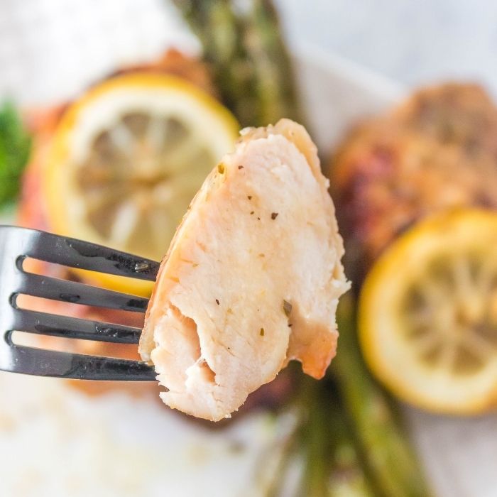 fork with chicken on vegetables on bottom 