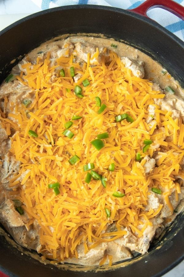 cheesy chicken with green onions on top 