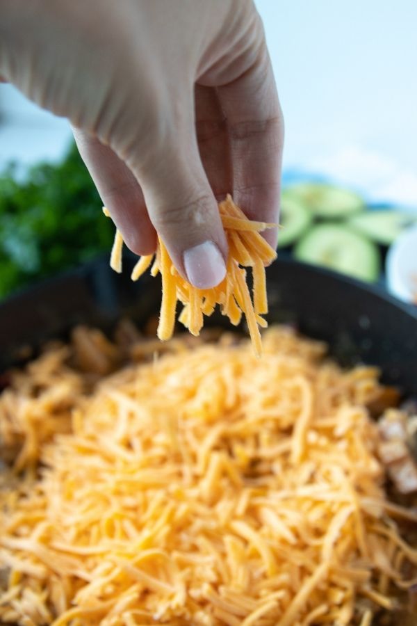 cheesy fajita topping