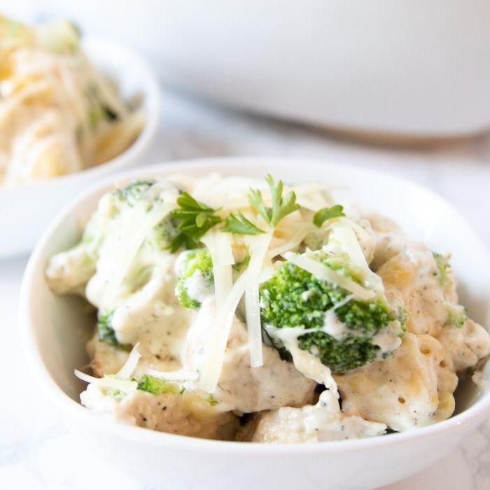 chicken alfredo pasta 